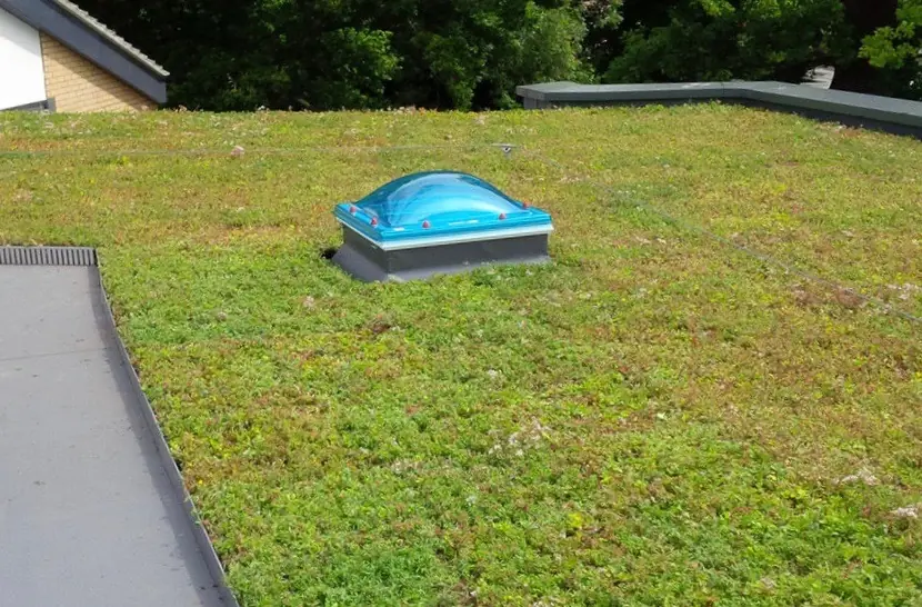 Eco roofs